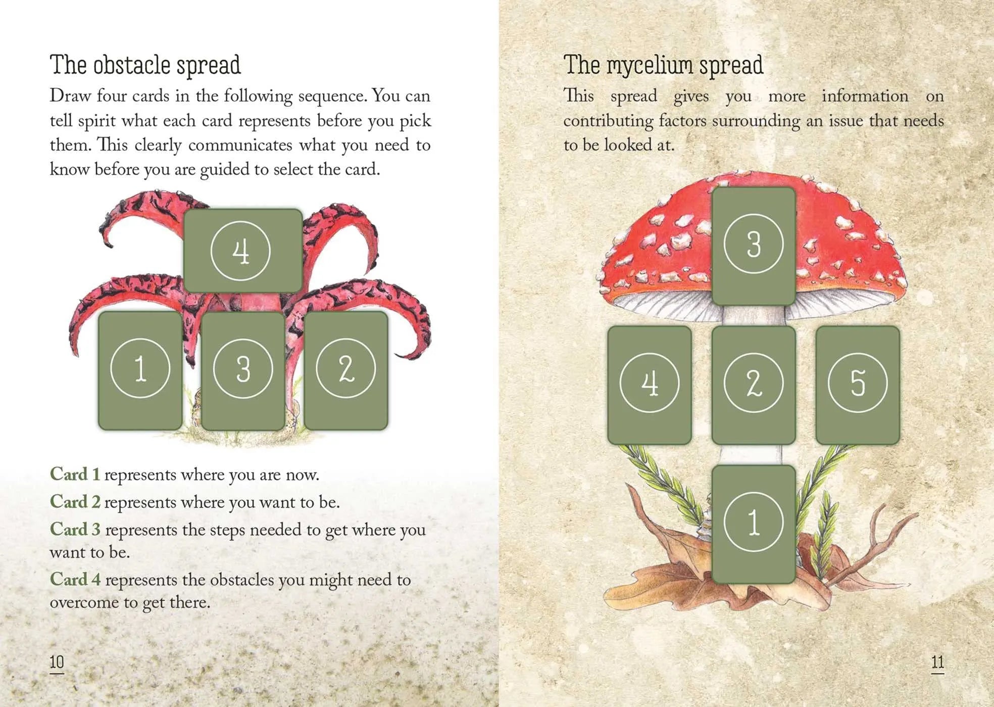 Mushroom Spirit Oracle