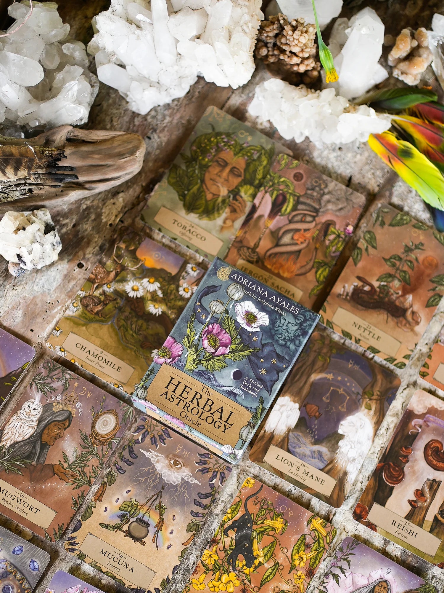 The Herbal Astrology Oracle